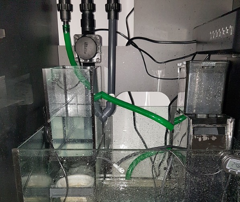 water filter